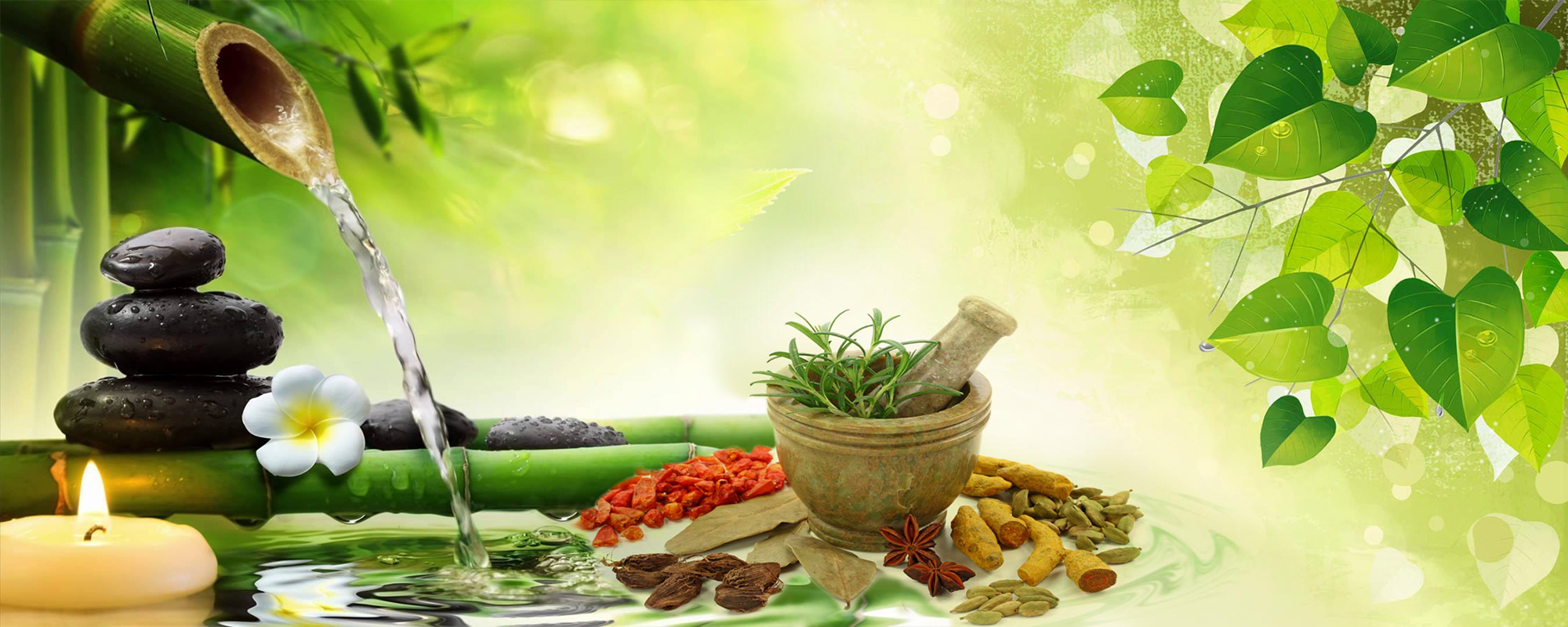 thetole acupuncture herbal malaysia